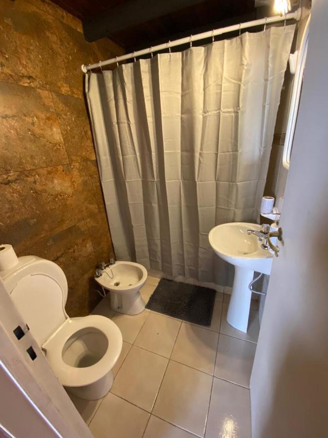 Luxury Loft Apartment Mendoza Bagian luar foto